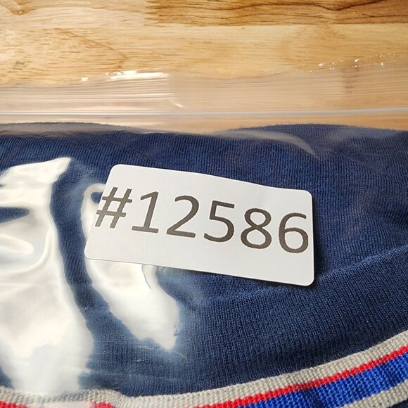 Champion Shirt Mens XL Blue Long Sleeve Pullover Graphic Tee *GUC* - Picture 9 of 9